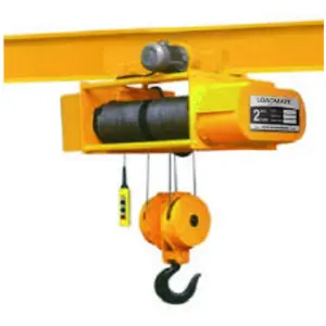 Electric Hoists